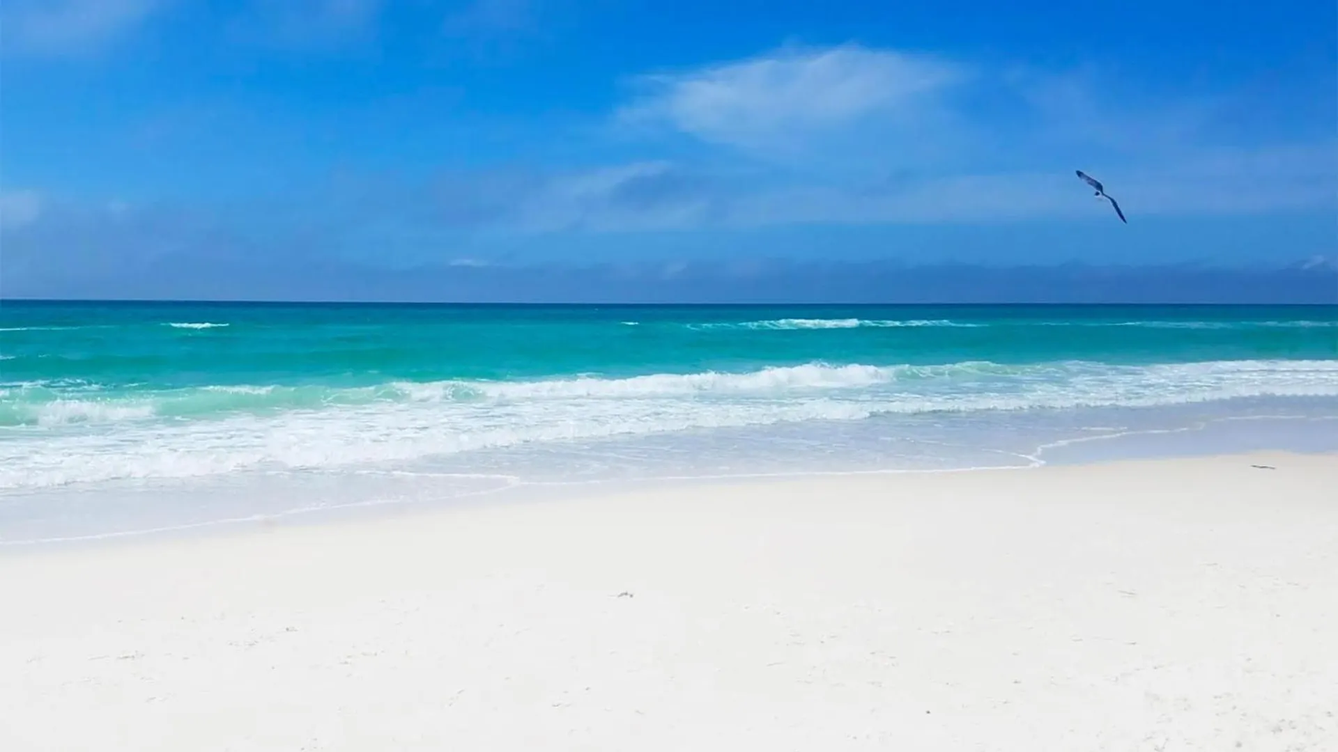 Majestic Beach Towers 1-2113 Panama City Beach